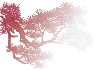 山水为席，美食作陪，一场穿越桂北的感官盛宴