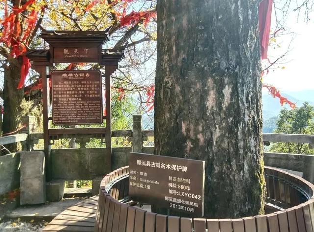 在郎溪，两天一夜还可以这样游！