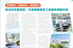 武汉市东西湖区：分类施策推进工业园区焕新升级图片