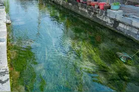 “泉”在济南享金秋 | 来明府城，寻找最有“泉城味道”的老济南图片