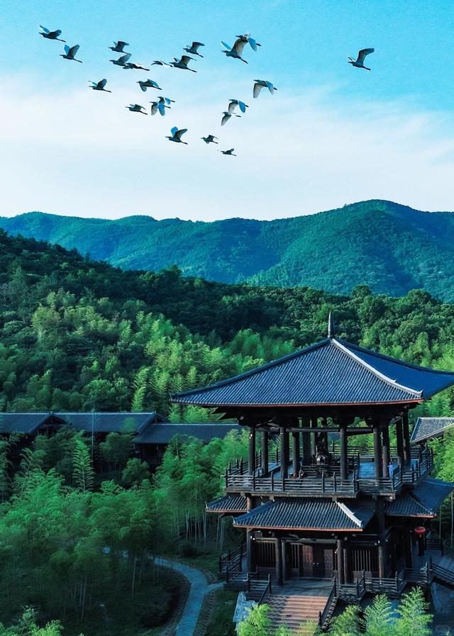 在湖州，最幸福（一）