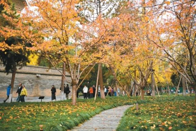 这就是文化传承最美妙的方式