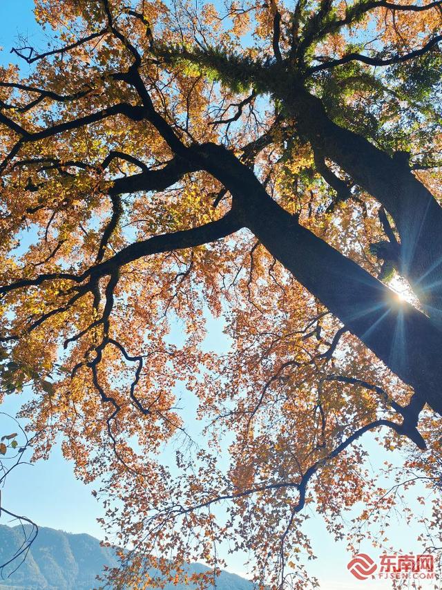 徒步热潮唤醒千年古道 宁德山海间走出文旅新路径