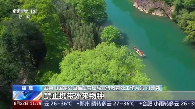 白鹇、金斑喙凤蝶、藏酋猴……看！神奇动物在武夷山