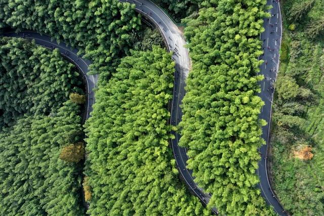 挑战黄山，顶峰相见！第二十一届中国黄山登山大会成功举办