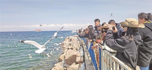 国庆中秋假期 青海旅游市场人气旺 活力足