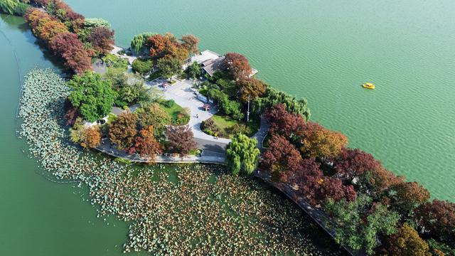 俯瞰初冬景色＃