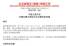 比亚迪突然出手！史上最大并购图片