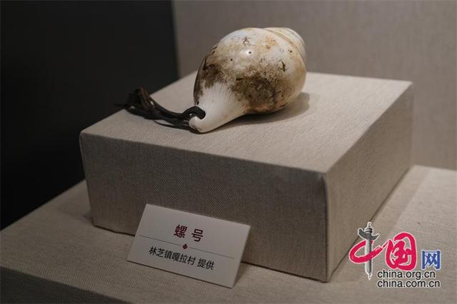 西藏嘎拉村：从穷山沟到“桃花源”的华丽转身