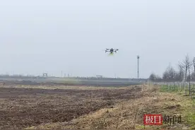 不到5个小时喷洒132亩，武汉江夏用无人机杀灭血吸虫钉螺图片