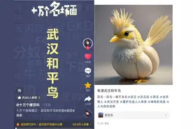 “蒜鸟”被称为“武汉和平鸟”，表情包和玩偶走红，学者：体现文字创意，利于方言形象图片