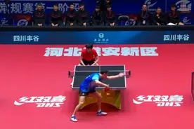 一场轻取一场逆转 王楚钦、樊振东乒超5连胜图片