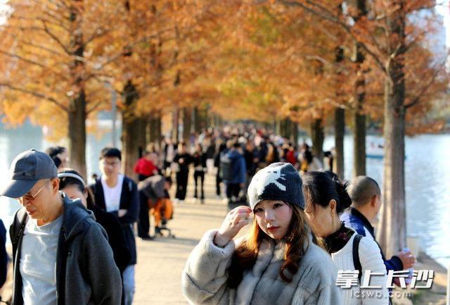 又是艳阳天，打卡人如潮｜组图