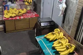 杭州老城区一家开了二十几年的水果店，只卖香蕉，没有“蕉绿”图片