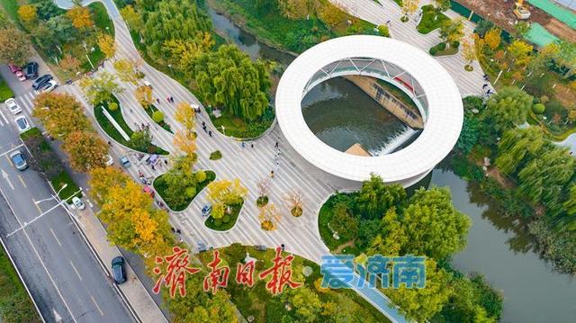 一年四季 泉在济南丨秋风执笔，银杏鎏金：济南腊山河公园秋日氛围感拉满