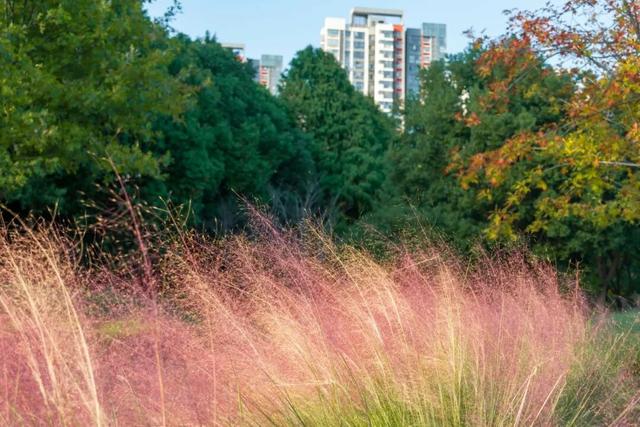 宜兴，一路斑斓！