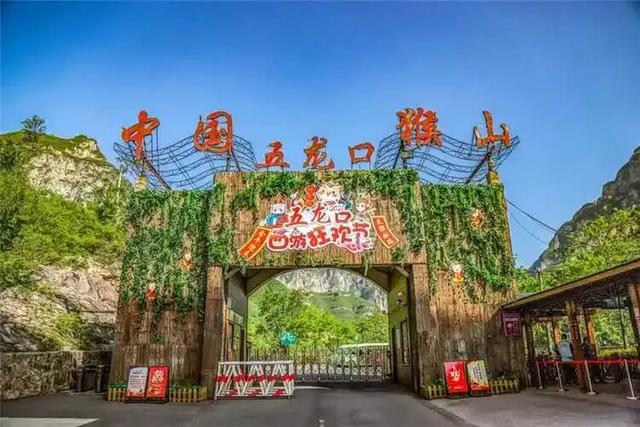 免票、半价！河南这些景区有优惠→