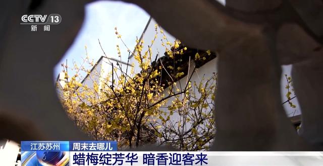 嗅梅香、赏梅韵 “梅”好时光激活周末经济