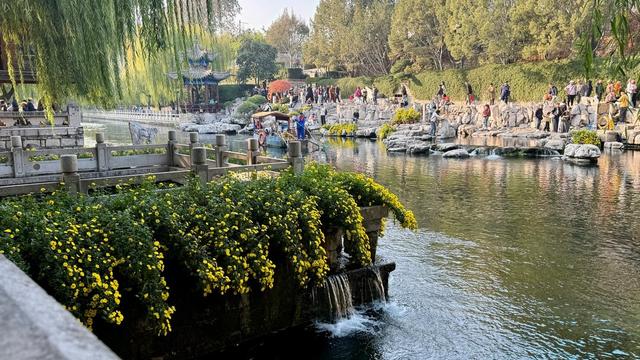 新视界｜济南护城河公园：泉水清清映垂柳 黄叶菊花别样新