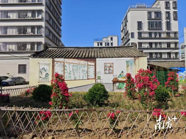 文脉生金，老厝古村变身人气地标｜百千万·看龙湖