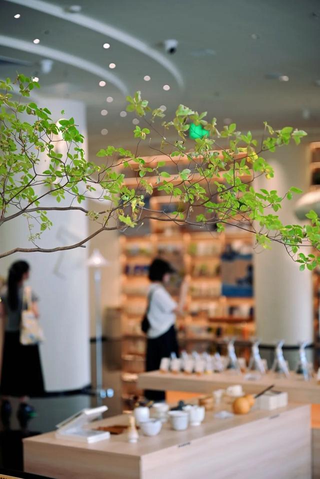 东莞新晋「放松空间」，遛娃也超合适！周末出发→