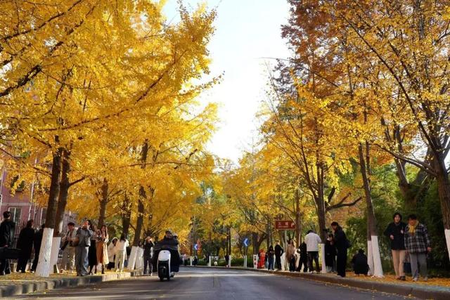 美翻了！南湖，正是红橙黄绿时