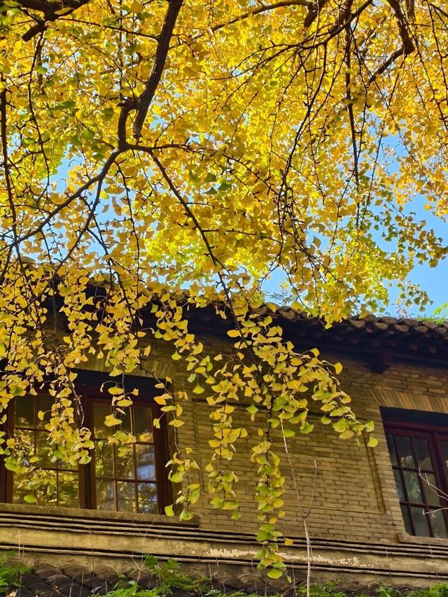 当代人需要的情绪价值，镇江给你！