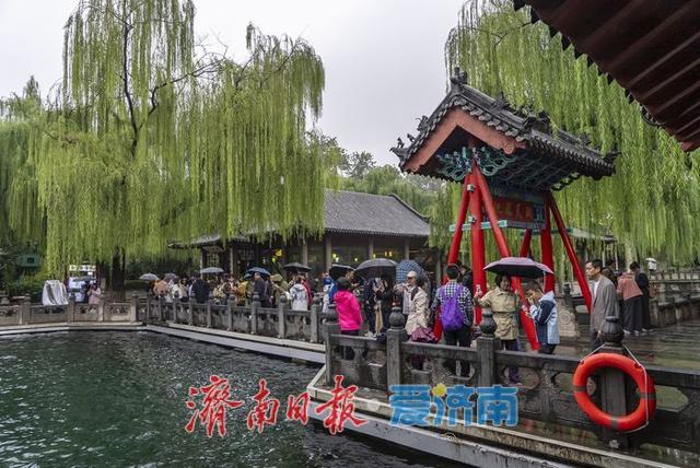一年四季 泉在济南丨秋雨添活力，济南泉水焕发新生机
