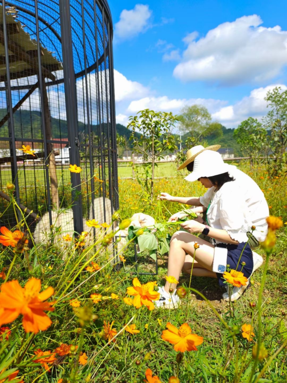驾游浙江 | 自驾新宠！探秘天目山，这条环山公路美成仙境