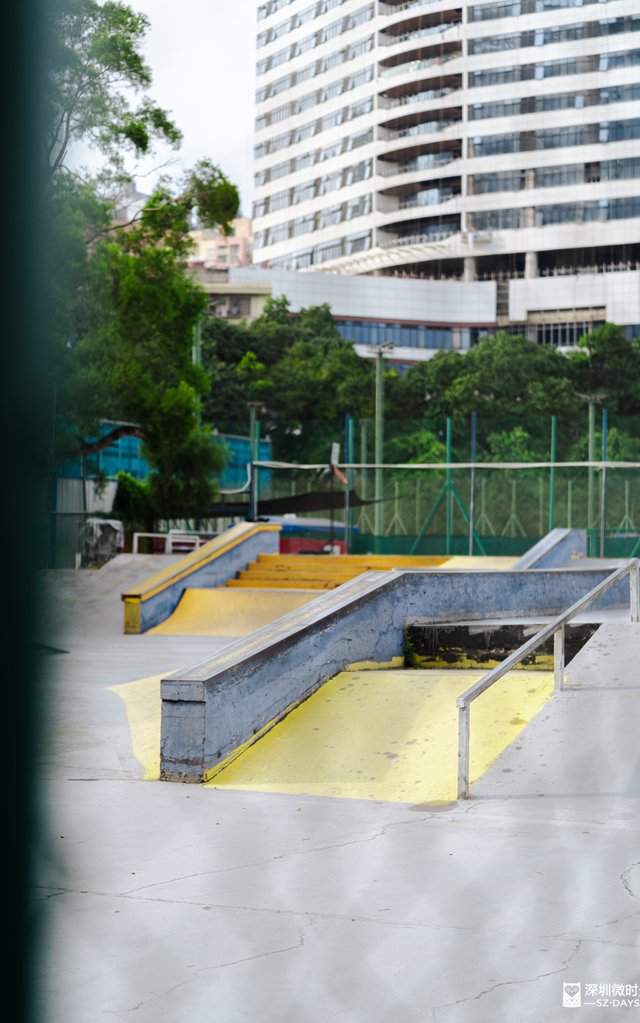 一条荔园路，多少蛇口人的前半生