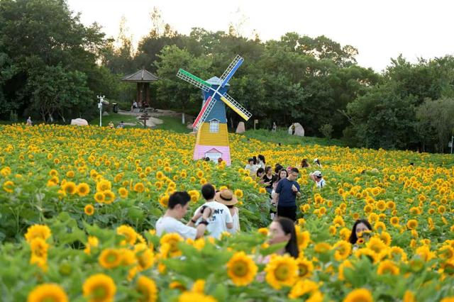 厦门翔安：三大赛事点燃全域狂欢，文旅经济与民生欢乐双赢