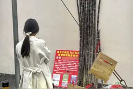 暨大女孩毕业后在南宁摆摊，不少人只付款不要甘蔗……图片