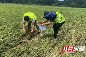 人保财险常德市分公司：迅速理赔显担当  真诚服务暖人心图片