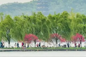 浙江宣传丨浙江为何被诗词偏爱图片