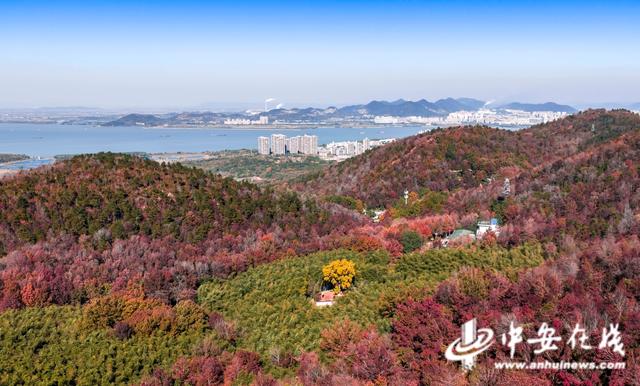 安徽巢湖：东庵森林公园山水康养秘境 绘就生态人文共荣图景