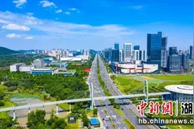 武汉东湖高新区发布“楼市十二条”图片