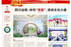 从“草”到“木”再成“林”，四川法院文化建设之路图片