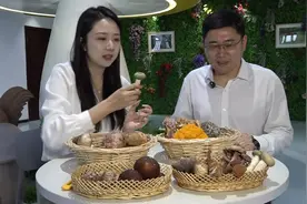 识别菌子小妙招图片