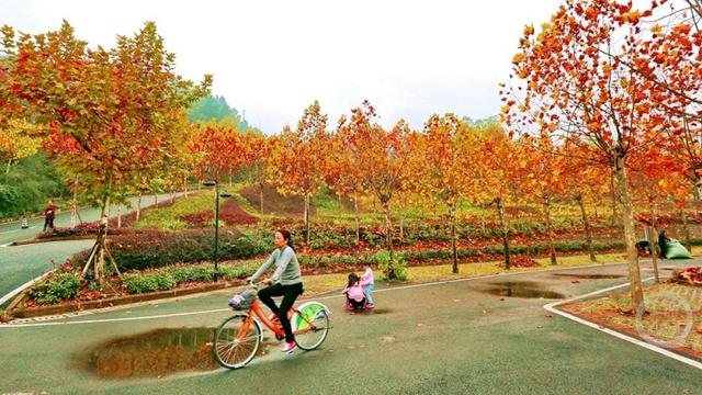 初冬景色 斑斓如画