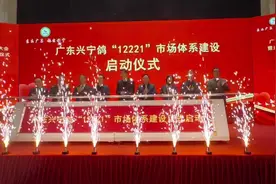 做强“兴宁鸽”，唱响“致富歌”！兴宁鸽“12221”市场体系建设启动图片