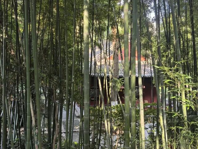 十里秦淮看南京 | 一水一山，织就金陵千年文脉