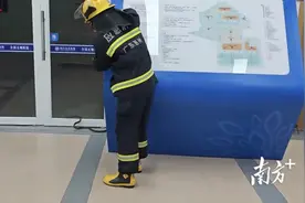 广东多地“蛇出没”，消防提醒：切勿盲目驱赶捕捉图片