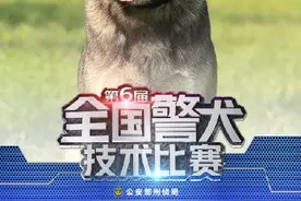 警汪集合！中国警犬犬种速览图片