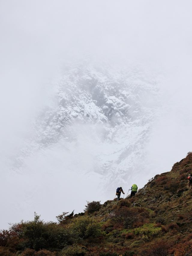 当山野成为失控的生意
