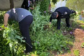 让“罪恶之花”无处绽放，荆州区公安铲除罂粟626株！图片