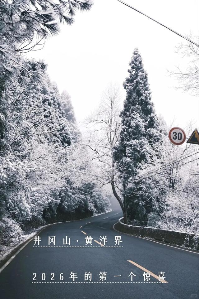 速来转转盘！测测 2026 你的旅行目的地