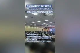 年进出口总额不低于16亿元，一跨境电商产业园在武汉汉阳启动图片