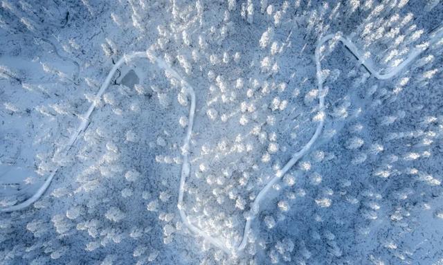 冷空气预警！鹅毛大雪即将突袭瓦屋山！