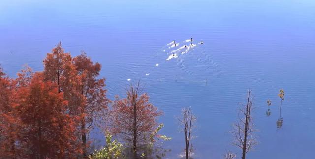 超美超出片！荆门这些宝藏地，附详细打卡攻略