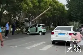 沈阳一司机驾驶小型汽车撞倒电线杆 交警：单方面责任事故，一人轻伤图片